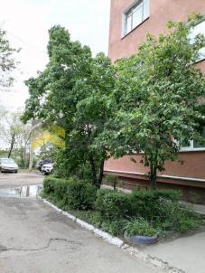 Продажа квартиры Омск. улица Иртышская Набережная, 18 Продажа квартиры Омск. улица Иртышская Набережная, 18