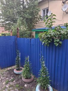 Продажа квартиры Любинский район.&nbsp;село Алексеевка.&nbsp;село Алексеевка Совхозная улица 32