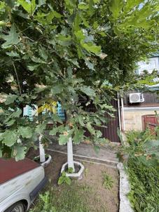 Продажа дома Омск.&nbsp;улица Слободская, 9