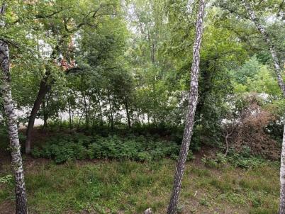 Продажа квартиры Омск. Заозёрный, Бархатовой, 8 Продажа квартиры Омск. Заозёрный, Бархатовой, 8