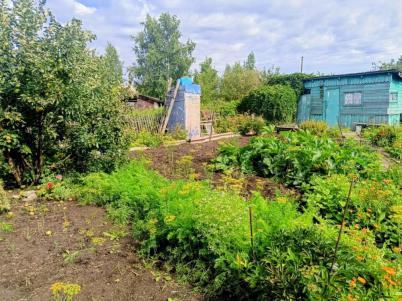 Продажа дачи Таврический. д. Гауф. тер сдт Сибирский садовод-5
