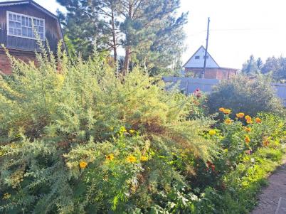 Продажа дачи Омск.&nbsp;тер сдт Ивушка