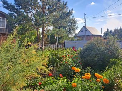 Продажа дачи Омск.&nbsp;тер сдт Ивушка