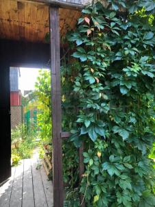 Продажа дачи Омск.&nbsp;аллея Степная, 6