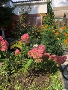 Продажа дачи Омск.&nbsp;аллея Степная, 6