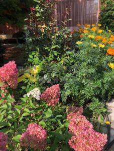 Продажа дачи Омск.&nbsp;аллея Степная, 6