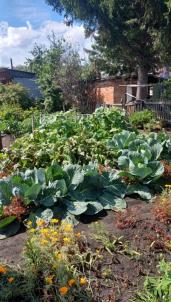 Продажа дачи Омск.&nbsp;СНТ Моторостроитель 