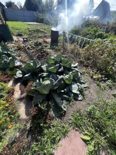 Продажа дачи Омск.&nbsp;СНТ Моторостроитель 