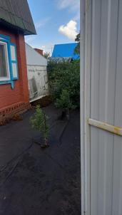 Продажа дачи Омск.&nbsp;СНТ Моторостроитель 