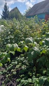 Продажа дачи Омск.&nbsp;СНТ Моторостроитель 