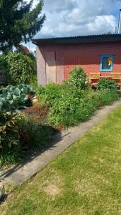 Продажа дачи Омск.&nbsp;СНТ Моторостроитель 