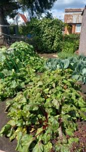 Продажа дачи Омск.&nbsp;СНТ Моторостроитель 