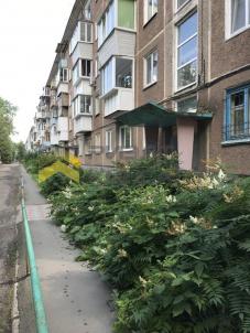 Продажа квартиры Омск. улица Бородина, 33