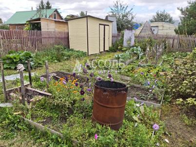 Продажа дачи Омск.&nbsp;СТ Тепличный-3 130