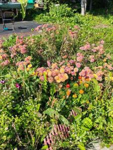 Продажа дачи Омск.&nbsp;Электрон