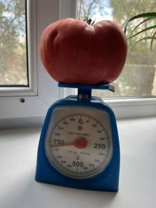 Продажа дачи Омск.&nbsp;СНТ МИР