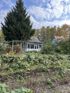 Продажа дачи Омск.&nbsp;СНТ МИР