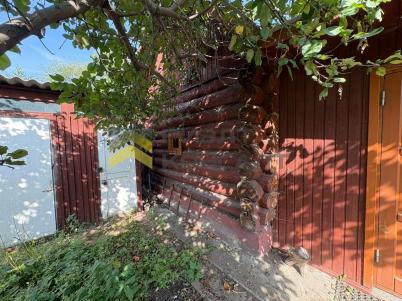 Продажа дачи Омск.&nbsp;Омск,СНТ Тепличный-2 , филиал 1