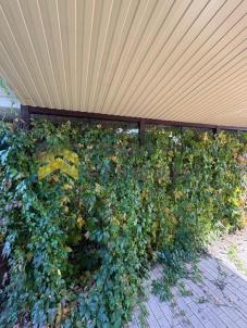 Продажа дачи Омск.&nbsp;Омск,СНТ Тепличный-2 , филиал 1