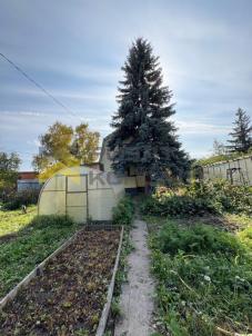 Продажа дачи Омск.&nbsp;Омск,СНТ Тепличный-2 , филиал 1