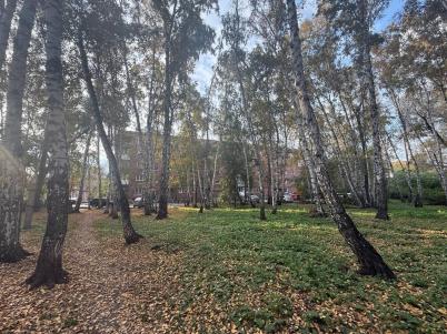 Продажа квартиры Омск.&nbsp;улица 3-я Молодежная, 64