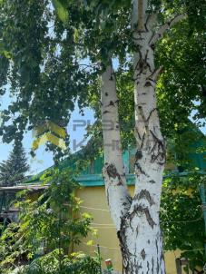 Продажа дачи Омск.&nbsp;г Омск, тер.СОСН Энергетик-1