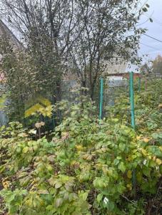 Продажа дачи Омск.&nbsp;г Омск, тер.СОСН Энергетик-1