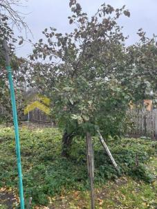 Продажа дачи Омск.&nbsp;г Омск, тер.СОСН Энергетик-1