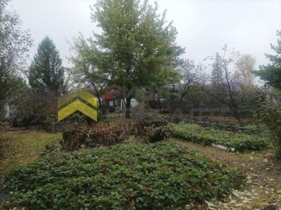 Продажа дачи Омск.&nbsp;г Омск, тер.СОСН Любитель