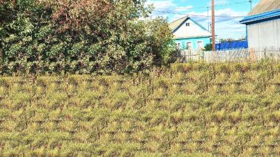 Продажа земли Островского ул.