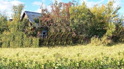 Продажа земли Островского ул.