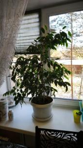 Продажа квартиры Омск. улица 10 лет Октября 178