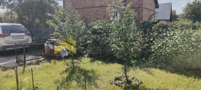 Продажа дачи Омск.&nbsp;г Омск, тер.СОСН Содружество (Октябрьский)