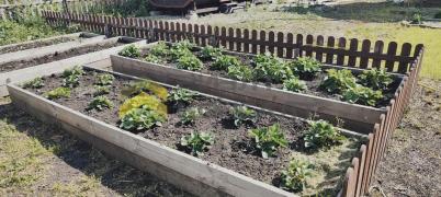 Продажа дачи Омск.&nbsp;г Омск, тер.СОСН Содружество (Октябрьский)