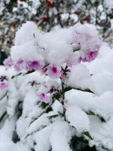 Продажа земли Омск.&nbsp;Шинник -4