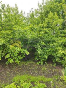 Продажа дома Омск.&nbsp;Омск, садоводческое некоммерческое товарищество Испытатель, 87