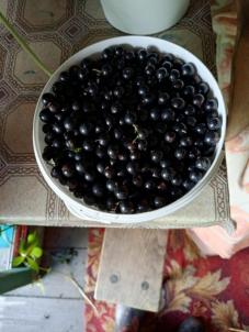 Продажа дачи Петрушенко