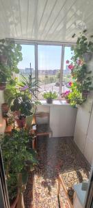 Продажа квартиры Омск. проспект Комарова 31