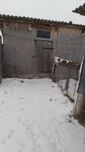 Продажа дома Любинский. д.Кочки. ул. Солнечная