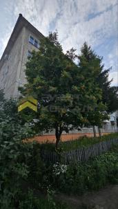 Продажа квартиры Омск. улица СибНИИСХоз, 4