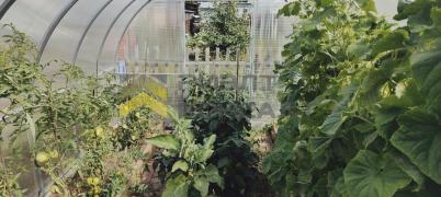 Продажа дачи Омск.&nbsp;г Омск, тер.СОСН Содружество (Октябрьский)