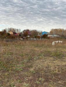 Продажа земли Омск.&nbsp;Линейная улица 10