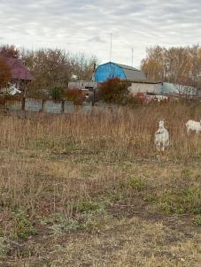 Продажа земли Омск.&nbsp;Линейная улица 10