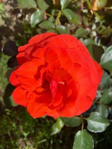 Продажа дома Омск.&nbsp;Карельская