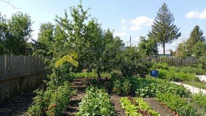 Продажа дачи Омск.&nbsp;Омск, СН Дары Сибири, аллея 20