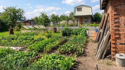 Продажа дачи Омск.&nbsp;Омск, СН Дары Сибири, аллея 20