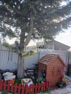 Продажа дачи Омск.&nbsp;СНТ дружба, 93