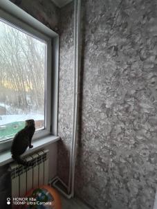 Продажа дома С. Пушкино Снт Садовод - 1 ал. 1