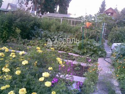 Продажа дачи Омск.&nbsp;тер.СОСН. Тепличный-2 филиал 4