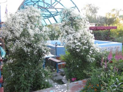 Продажа дачи Омск.&nbsp;тер.СОСН. Тепличный-2 филиал 4